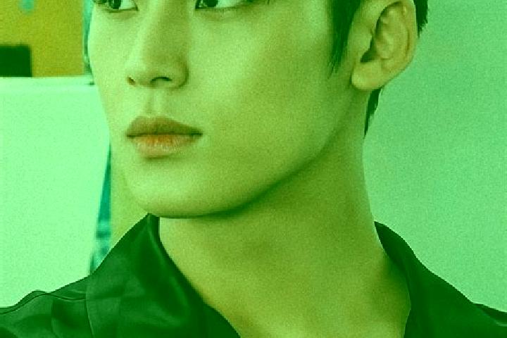 escort Mingyu