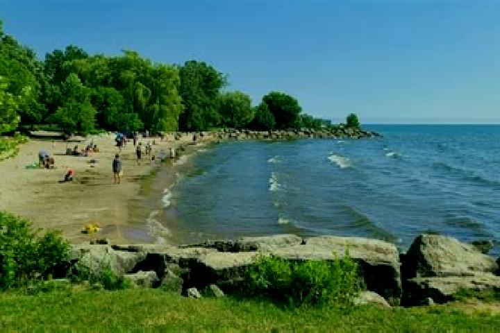 escort Mississauga Beach
