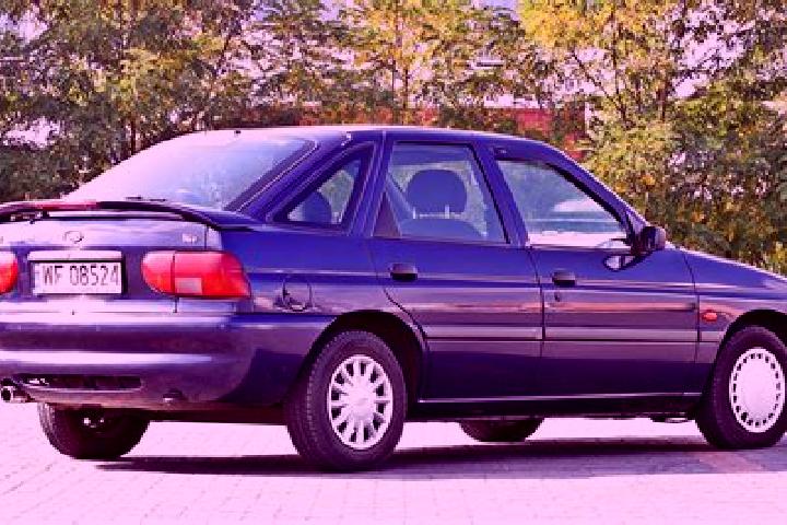escort Mit Salsil