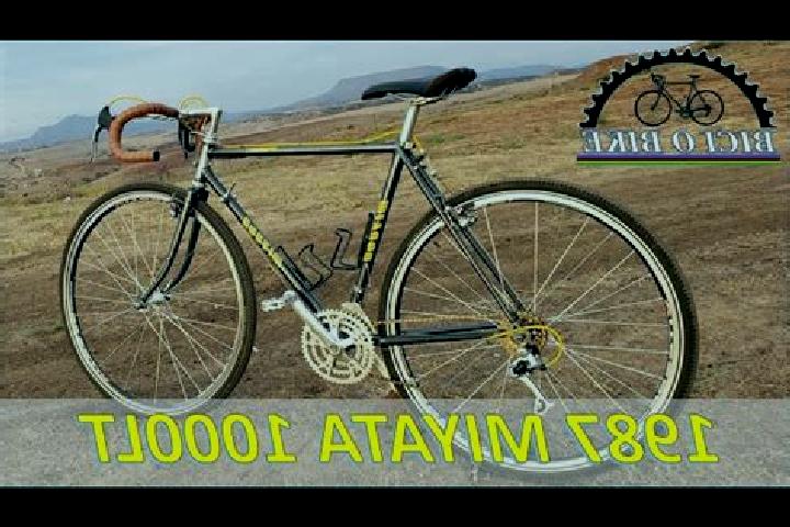escort Miyata