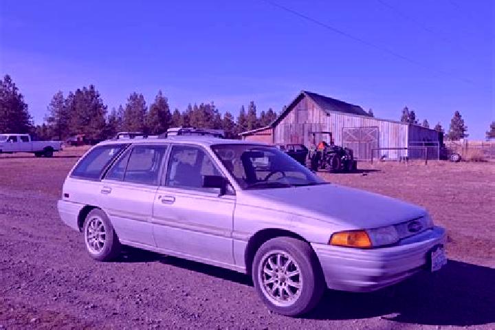 escort Modbury Heights