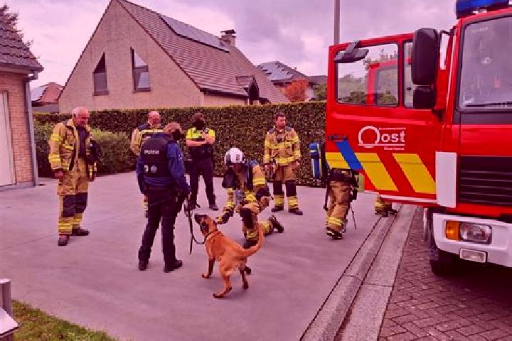 escort Moerbeke