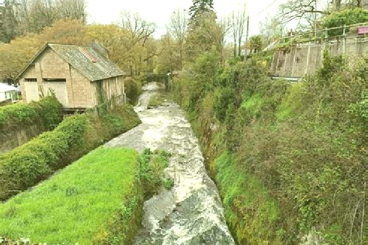 escort Moisdon-la-Riviere