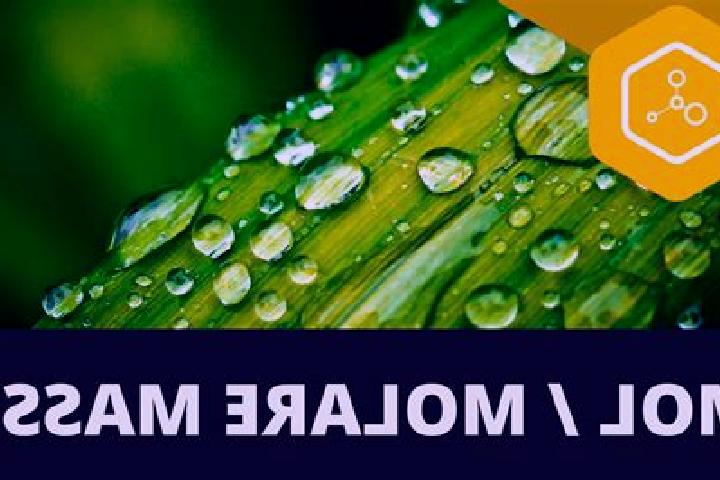 escort Molare