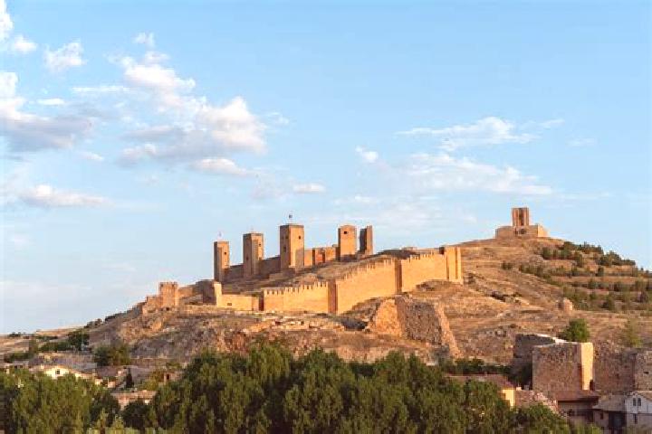 escort Molina de Aragon
