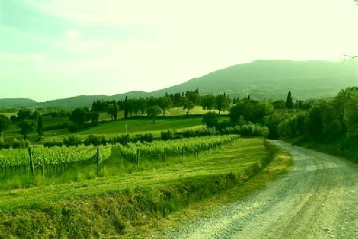 escort Molino-Mozzi-Bittarelli
