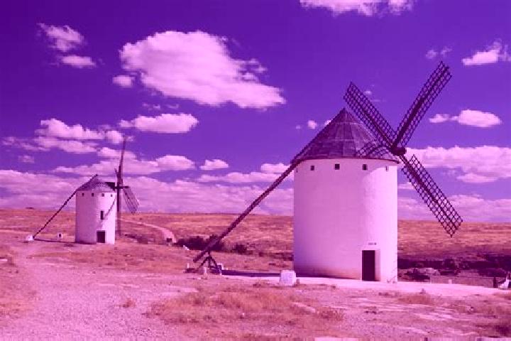 escort Molinos
