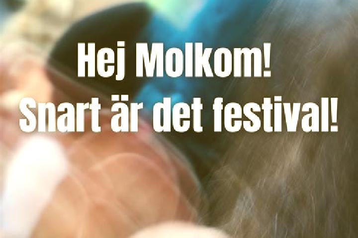 escort Molkom