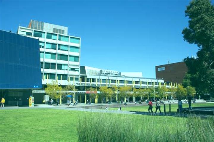 escort Monash