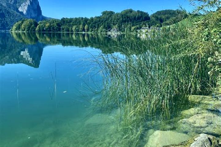escort Mondsee