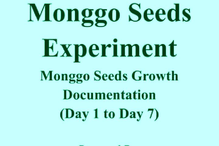 escort Monggo