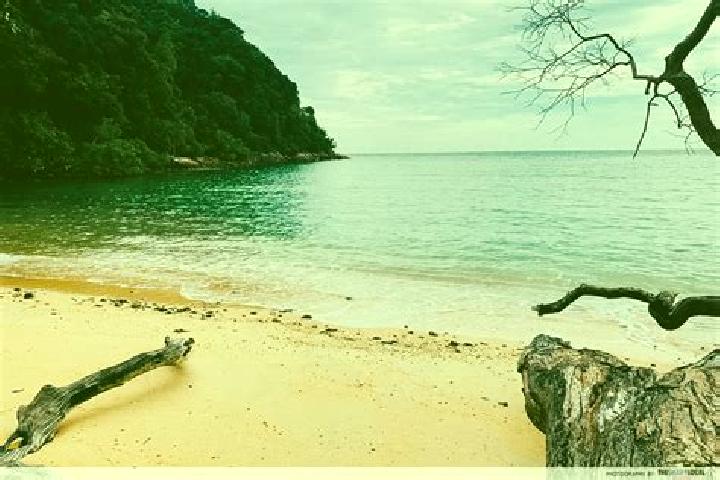escort Monkey Bay