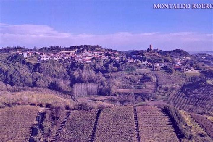 escort Montaldo Roero