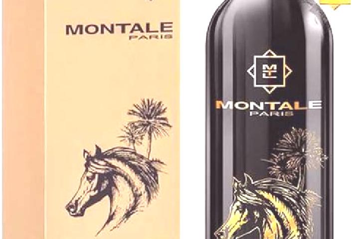 escort Montale
