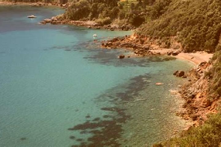 escort Monte Argentario