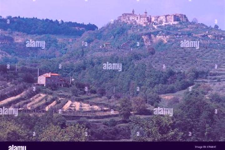 escort Monteleone d Orvieto