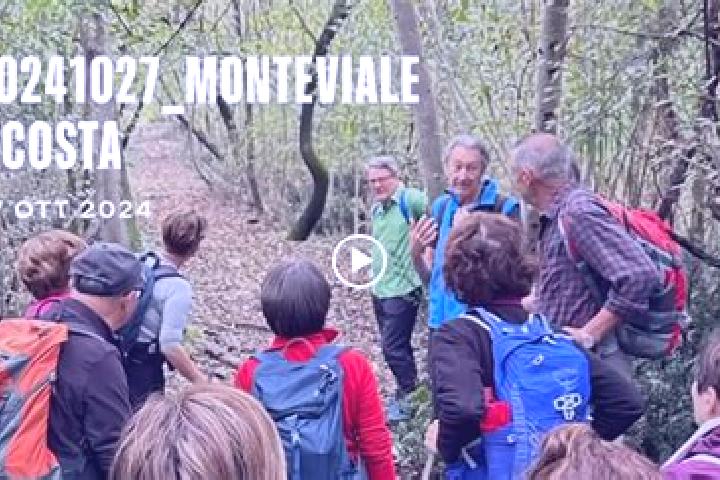 escort Monteviale