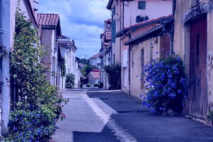 escort Montfort-en-Chalosse