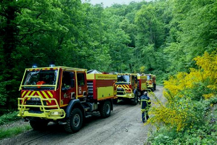 escort Montmedy