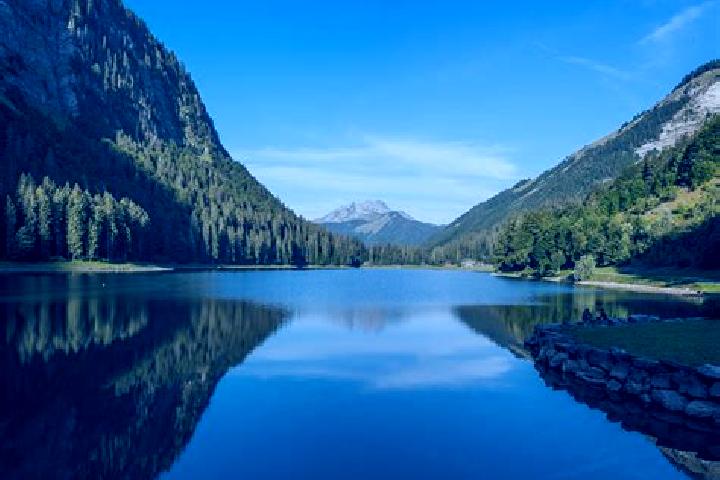escort Montriond