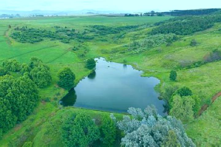 escort Mooi River