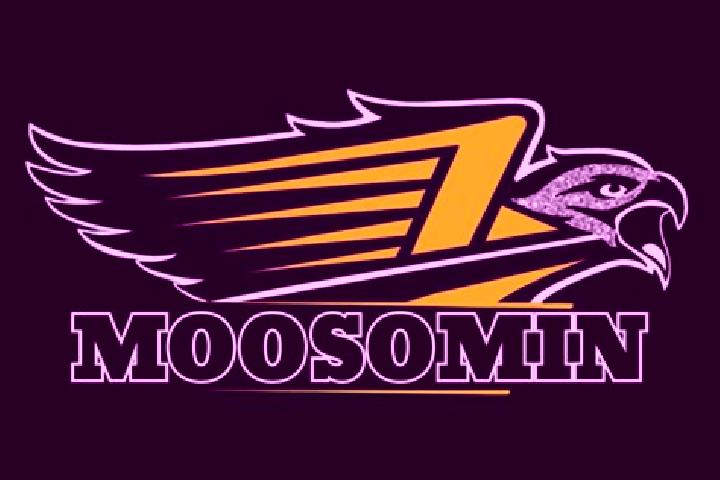 escort Moosomin