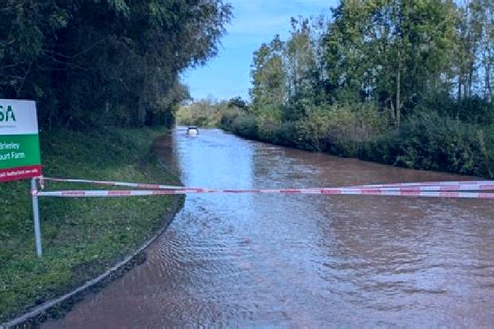 escort Moreton on Lugg