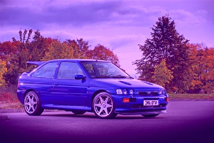 escort Morterone