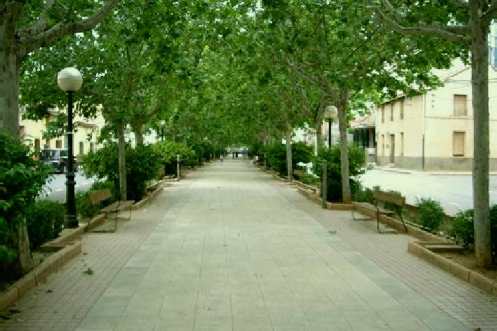 escort Motilla del Palancar