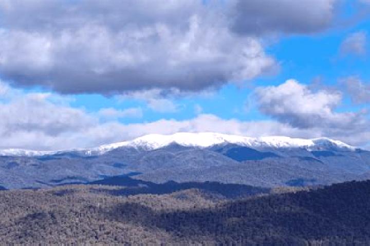 escort Mount Beauty