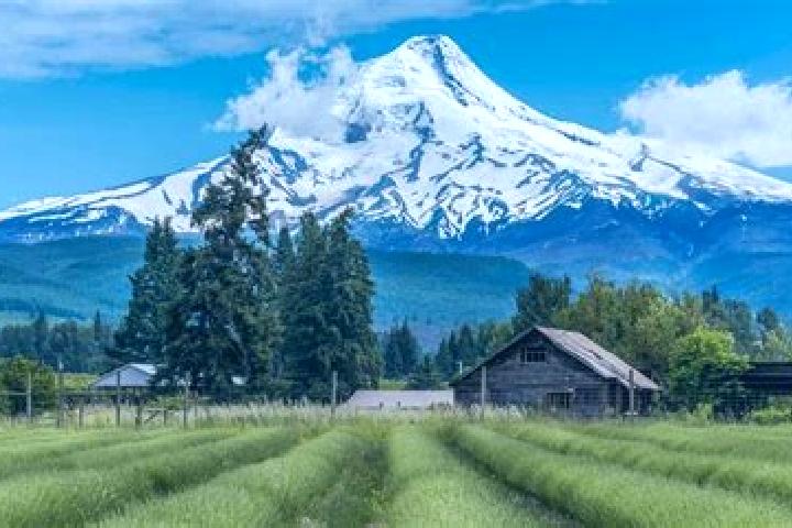 escort Mount Hood Village