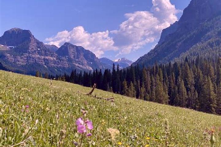 escort Mountain Meadows