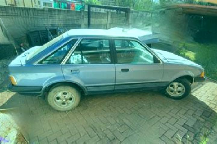 escort Mpumalanga