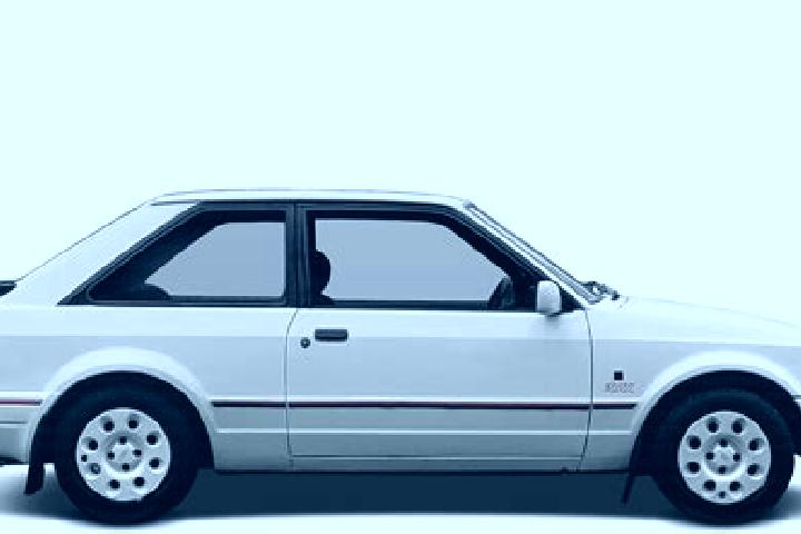 escort Muccia