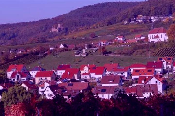 escort Munchweiler am Klingbach