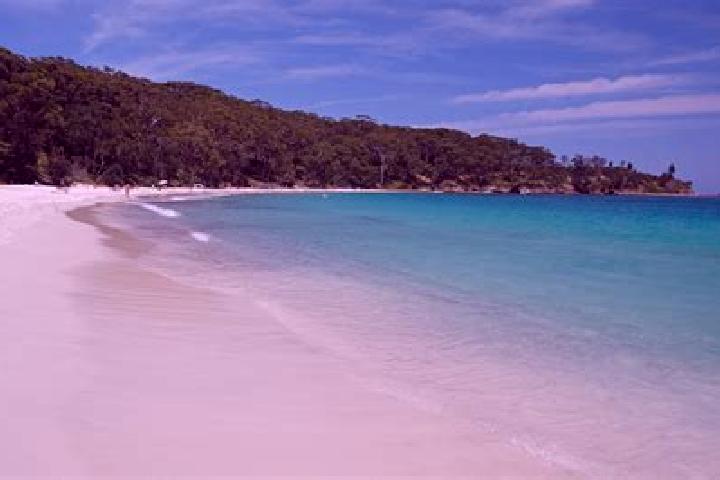 escort Murrays Bay