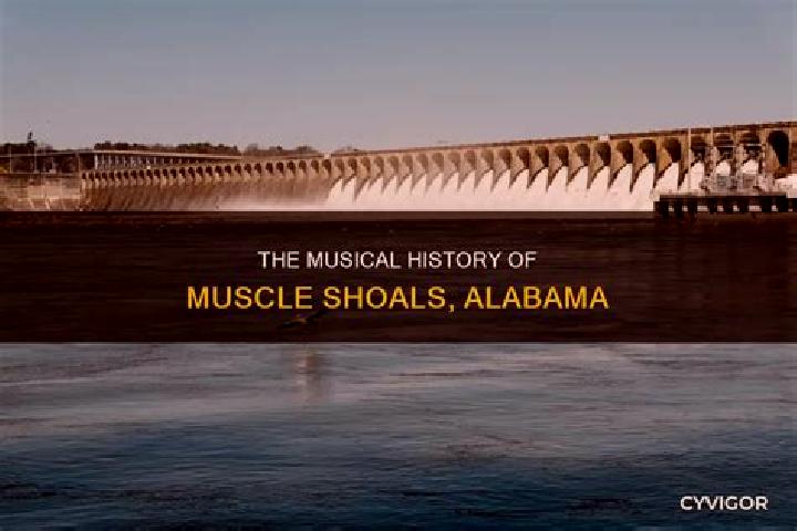 escort Muscle Shoals