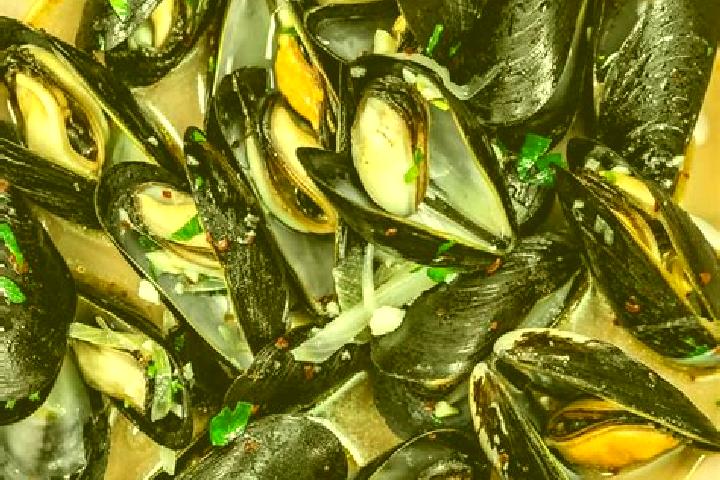escort Mussel