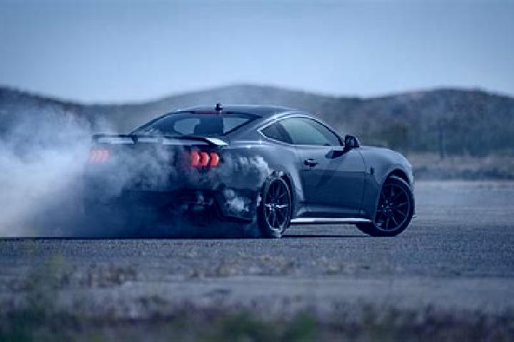 escort Mustang