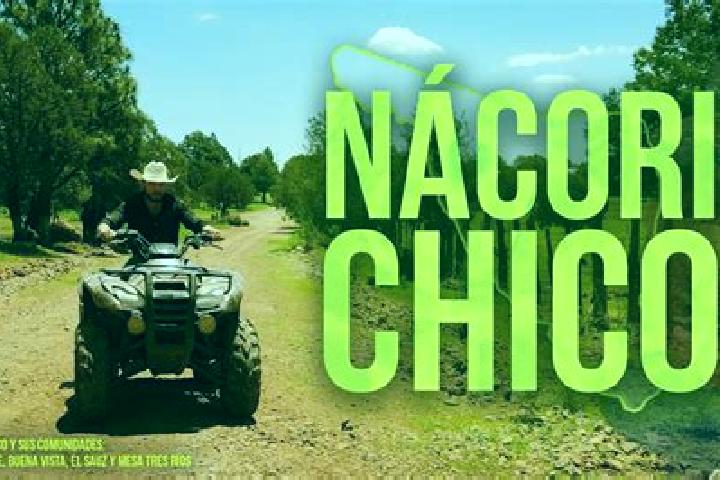 escort Nacori Chico