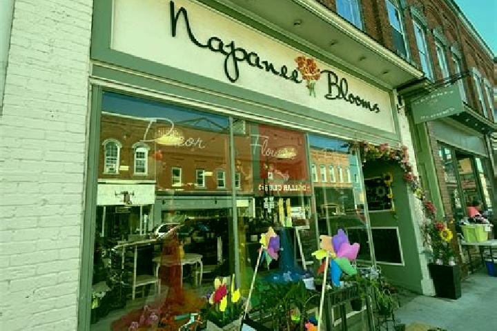 escort Napanee Downtown