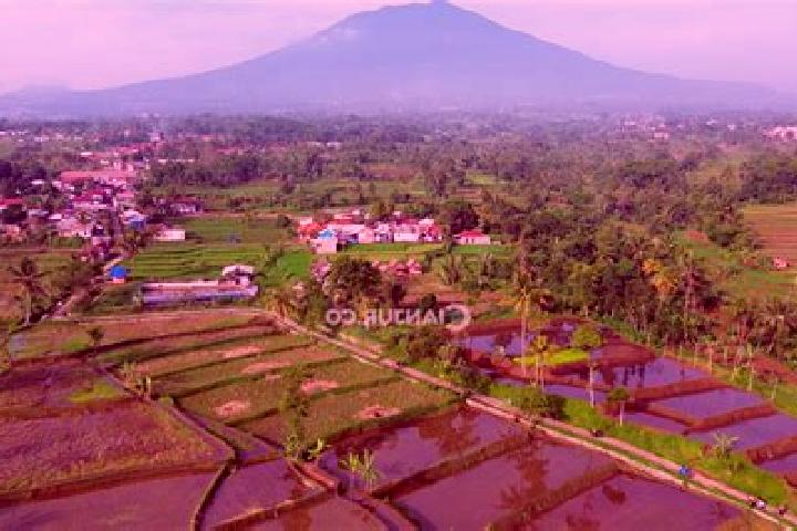 escort Naringgul