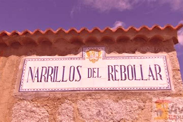 escort Narrillos del Rebollar