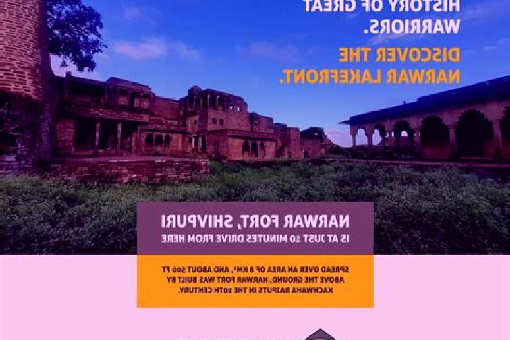 escort Narwar