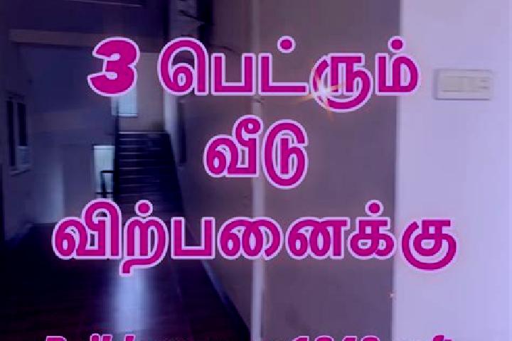 escort Nasiyanur