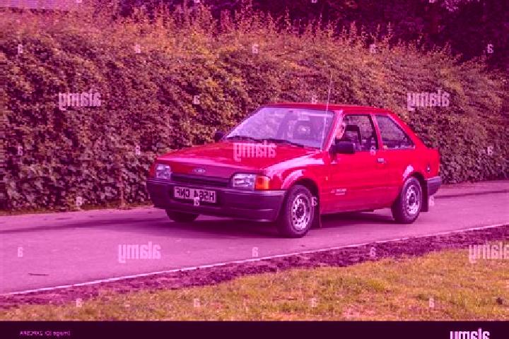 escort Negele