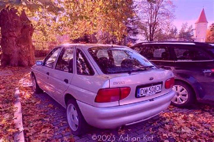 escort Negenborn