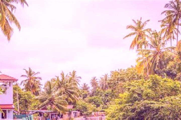 escort Negombo