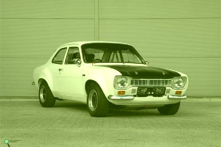 escort Nemsa