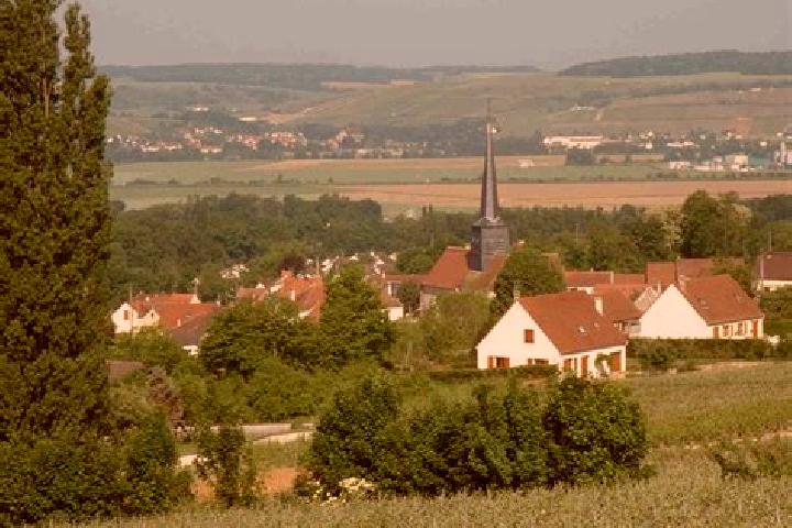 escort Nesles-la-Montagne